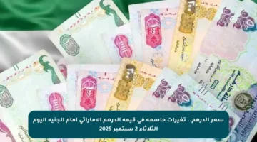 سعر الدرهم.. تغيرات حاسمة في قيمة الدرهم الإماراتي أمام الجنيه اليوم الثلاثاء 2 سبتمبر 2025